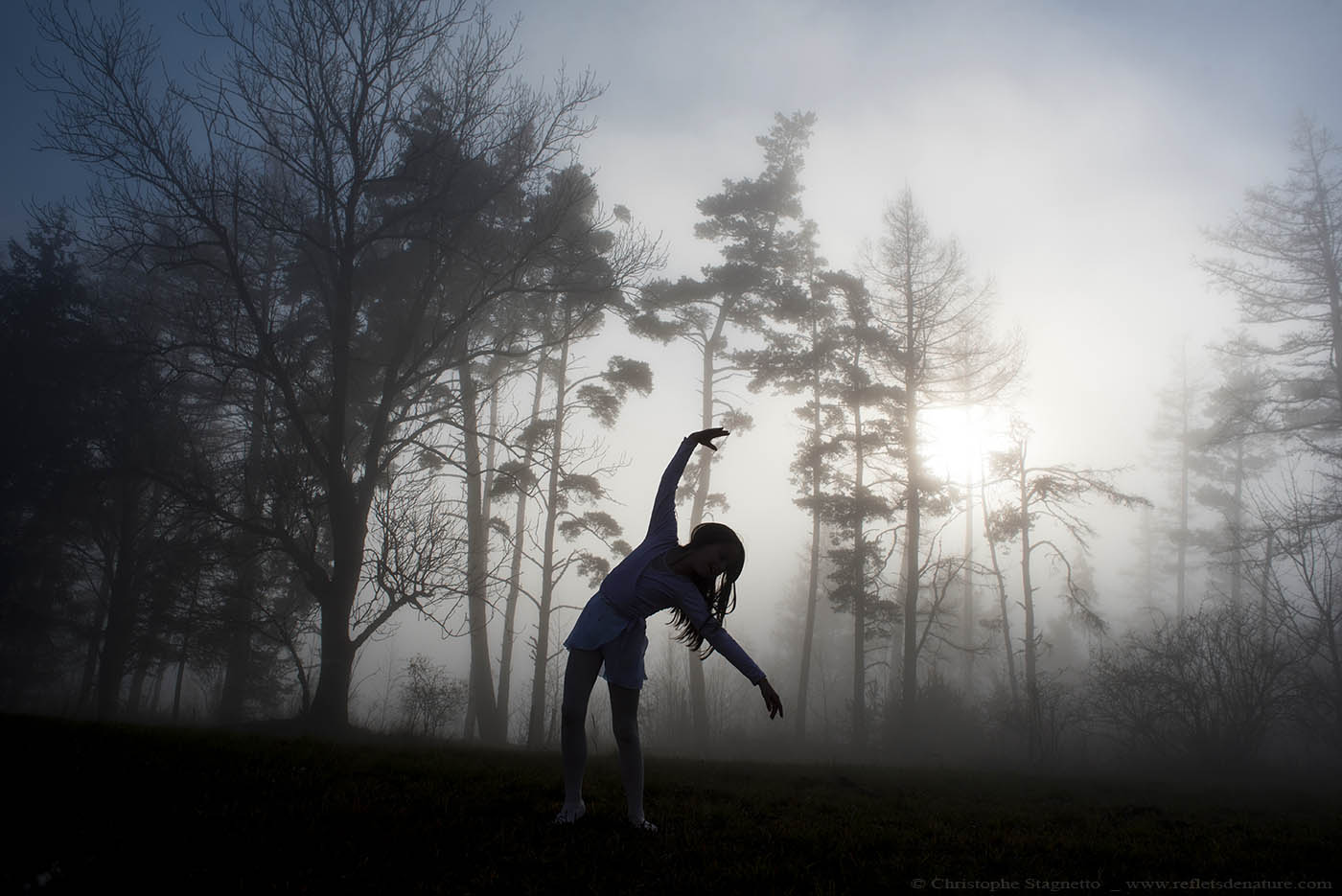 danse foret brume loading=