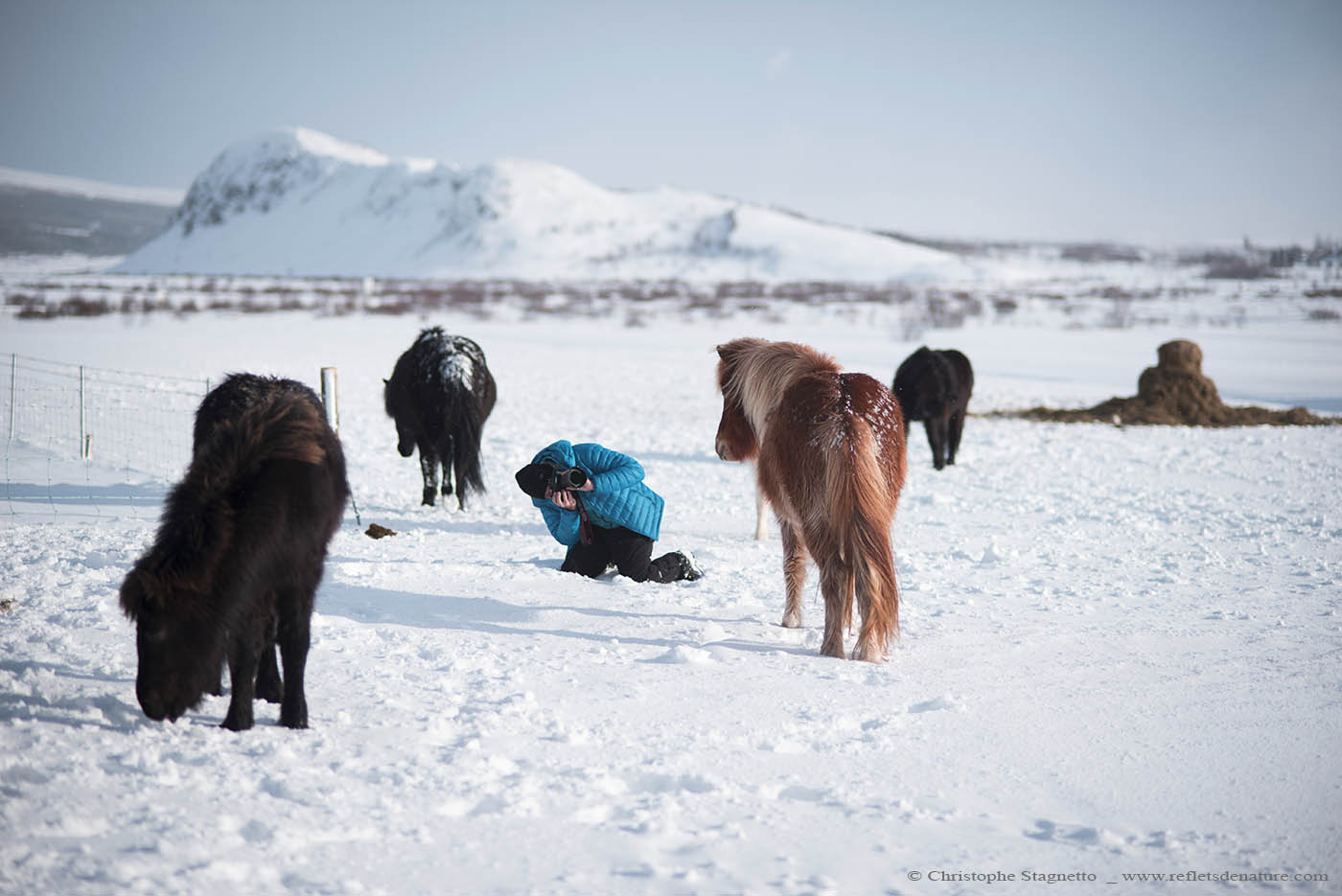 stagephoto islande