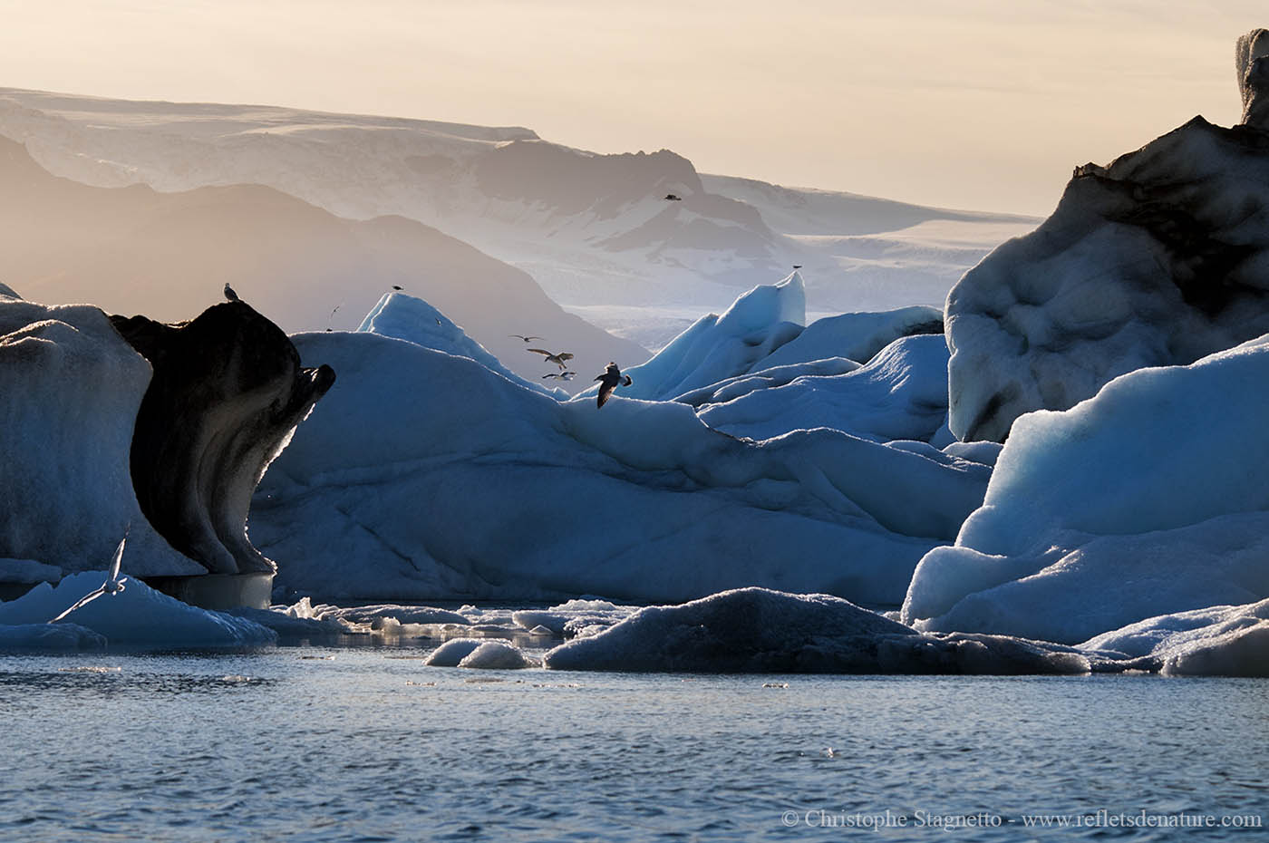 floating icebergs loading=