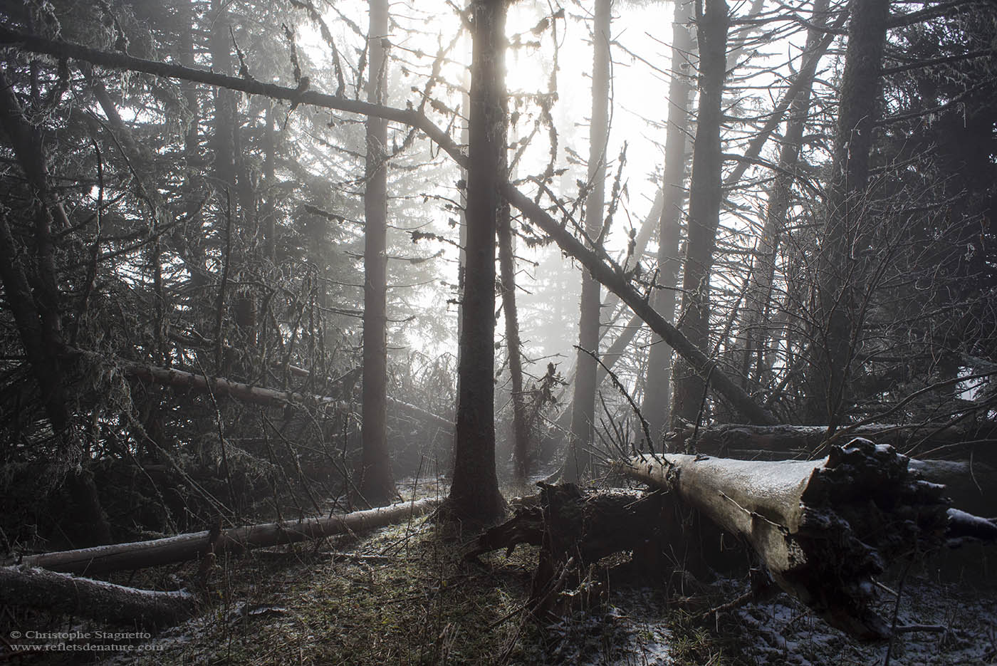 givre brume loading=