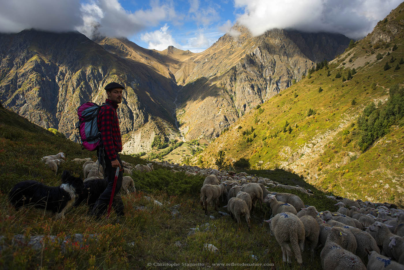 pastoral berger alpes loading=